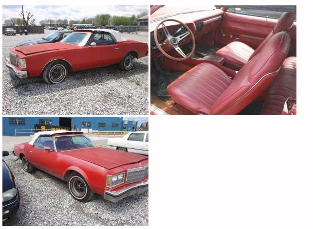interesting laguna Convertible